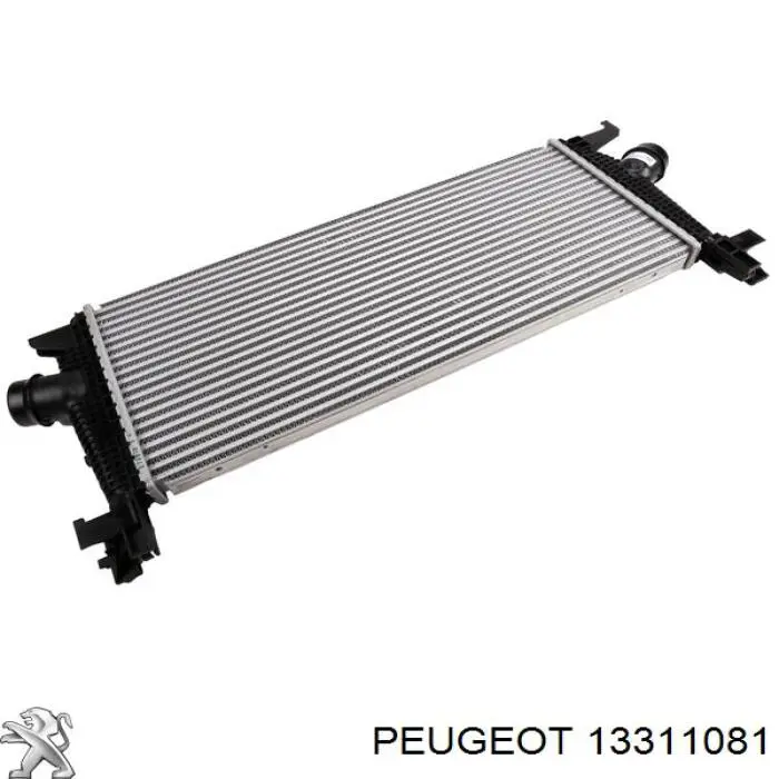 Radiador de aceite 13311081 Peugeot/Citroen