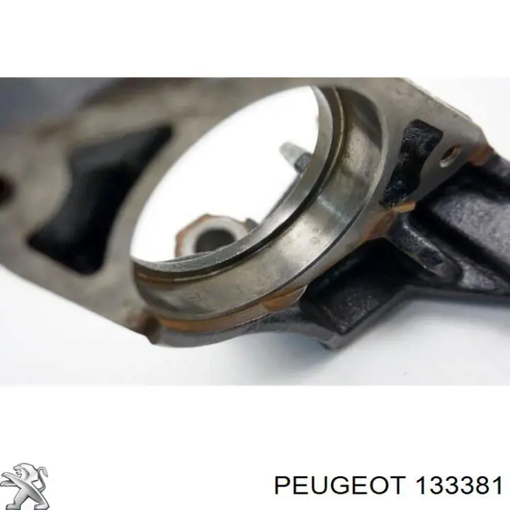 133381 Peugeot/Citroen
