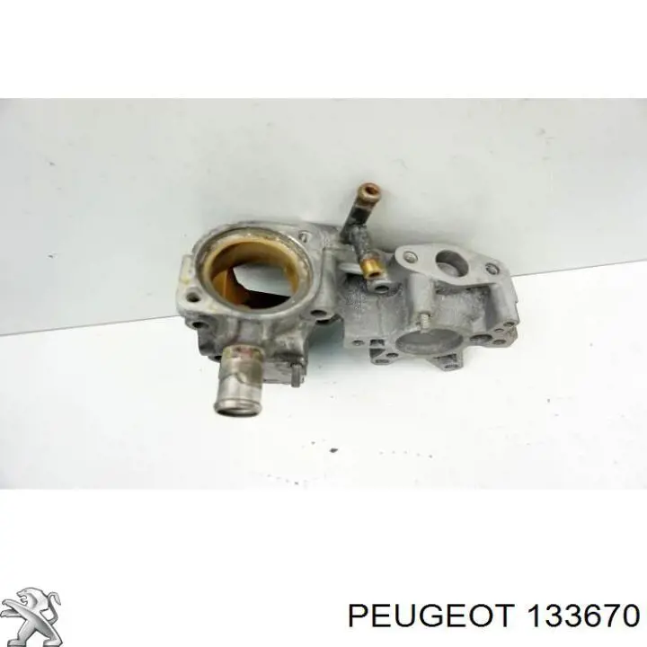 133670 Peugeot/Citroen 