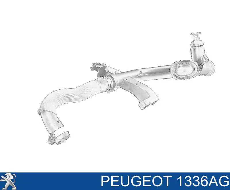 1336AG Peugeot/Citroen шланг (патрубок системы охлаждения)