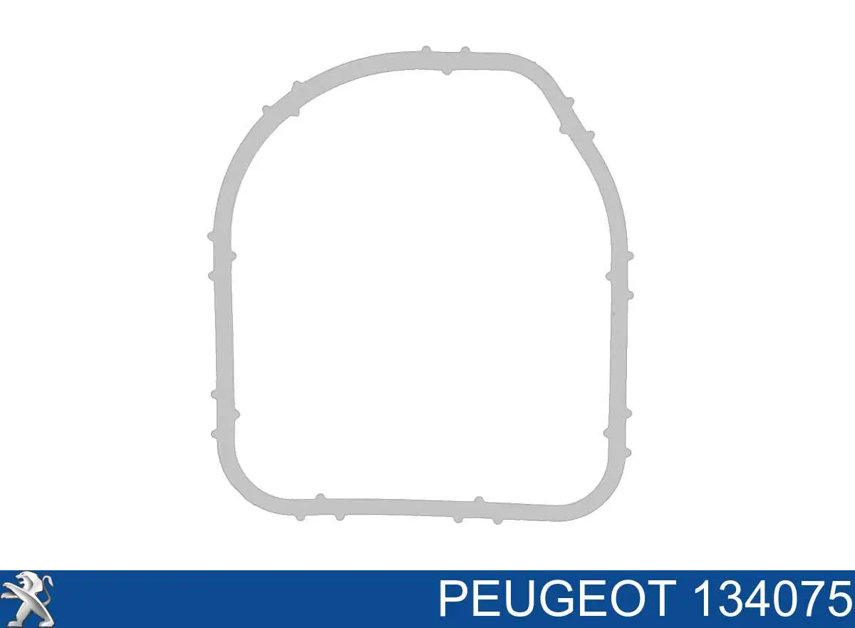 Vedante de caixa do termostato para Peugeot 307 (3B)