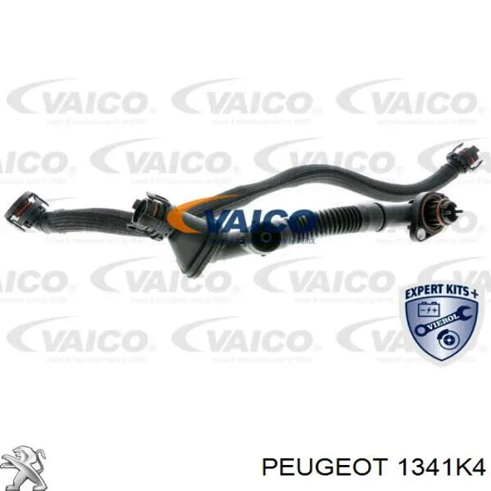 Conducto aceite, turbocompresor, alimentación 1341K4 Peugeot/Citroen
