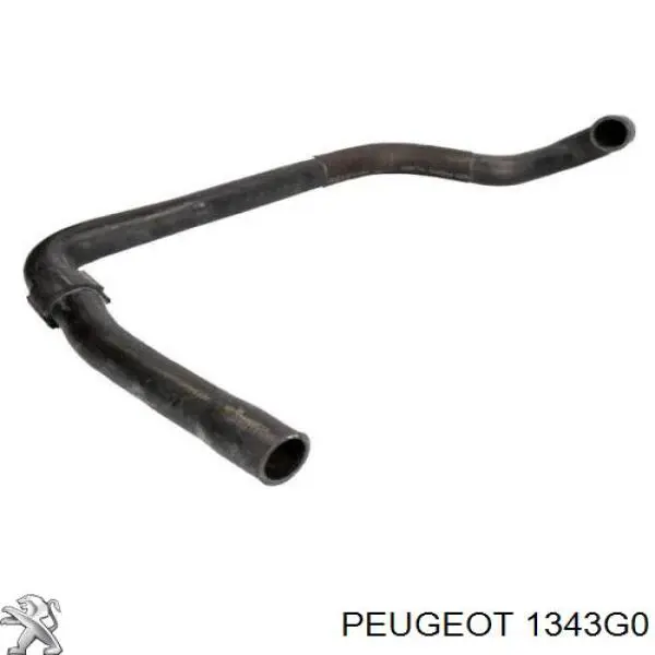 Нижний шлаг радиатора охлаждения 1343G0 Peugeot/Citroen