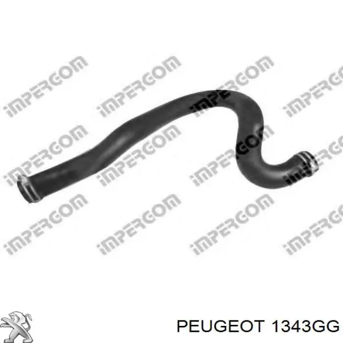 1343GG Peugeot/Citroen mangueira (cano derivado do radiador de esfriamento superior)