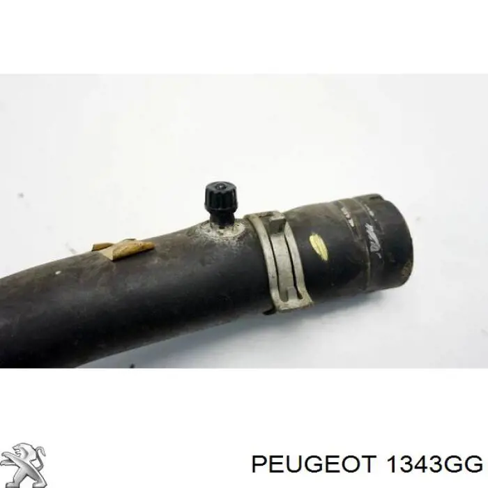 Шланг радиатора охлаждения Peugeot/Citroen 1343GG цена, от 20.53 USD