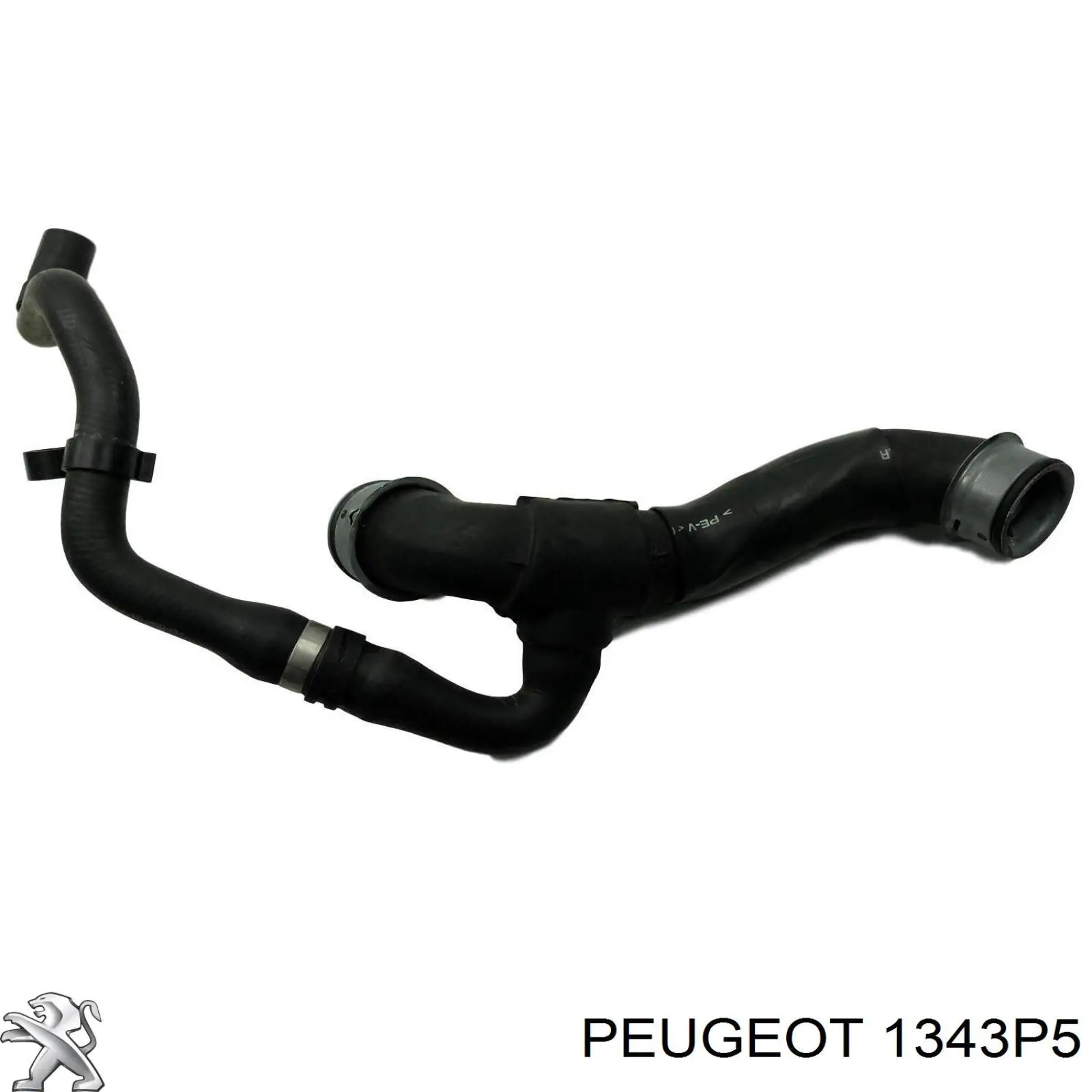 Нижний шлаг радиатора охлаждения 1343P5 Peugeot/Citroen