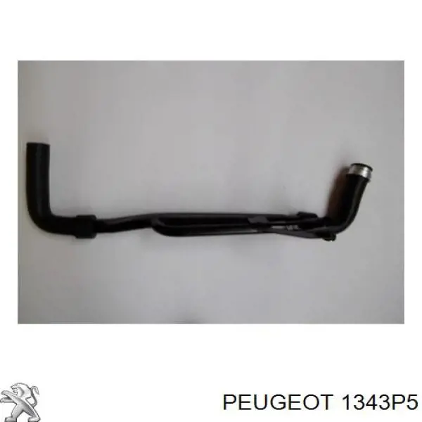 Купить 1343P5 Peugeot/Citroen Шланг радиатора охлаждения нижний