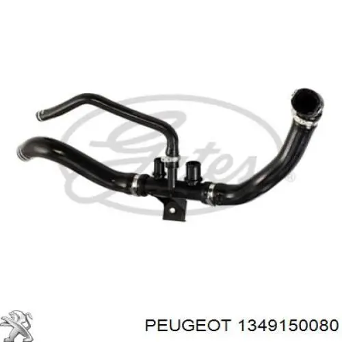 1349150080 PEUGEOT Manguera inferior del radiador original y equivalente