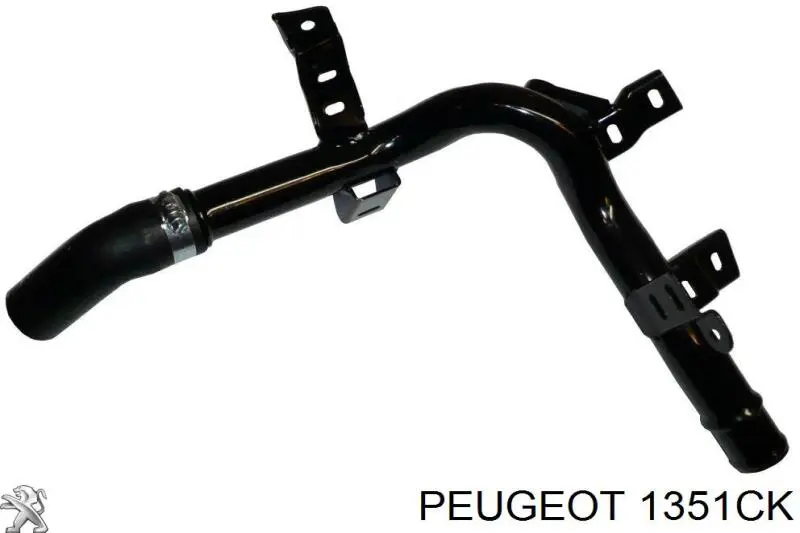 1351CK Peugeot/Citroen шланг (патрубок радиатора охлаждения нижний)