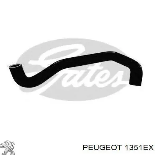 1351EX Peugeot/Citroen шланг (патрубок радиатора охлаждения нижний)