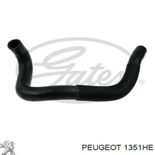 1351HE Peugeot/Citroen mangueira (cano derivado inferior do radiador de esfriamento)