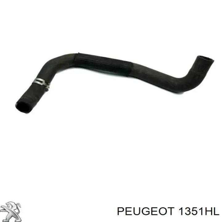 1351HL Peugeot/Citroen mangueira (cano derivado inferior do radiador de esfriamento)