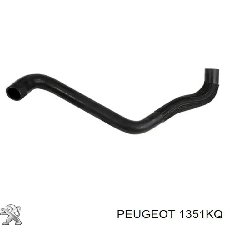 Купить 1351KQ Peugeot/Citroen Шланг радиатора охлаждения нижний