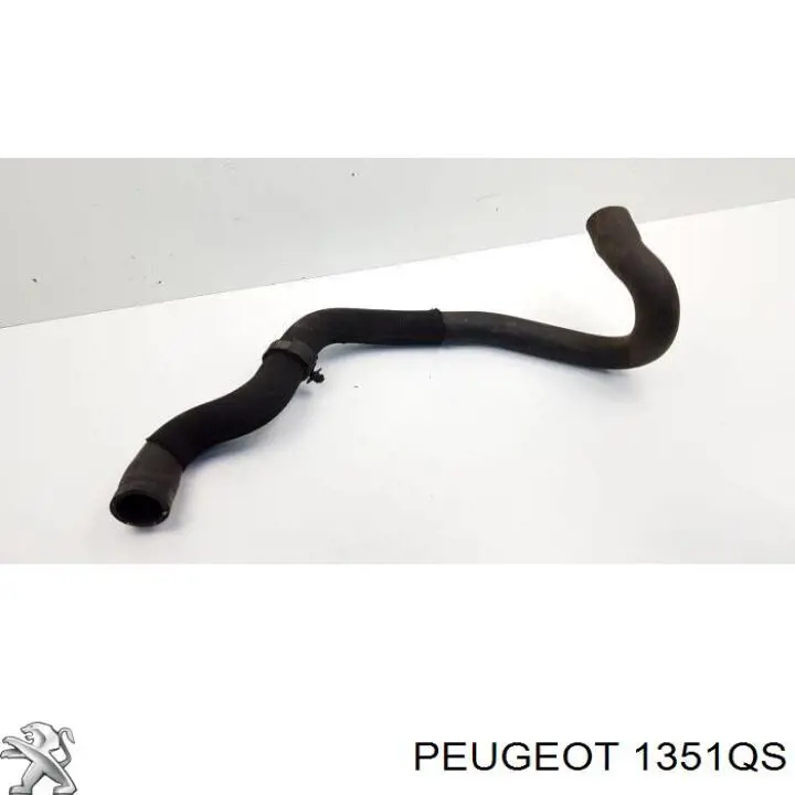 1351QS Peugeot/Citroen mangueira (cano derivado inferior do radiador de esfriamento)