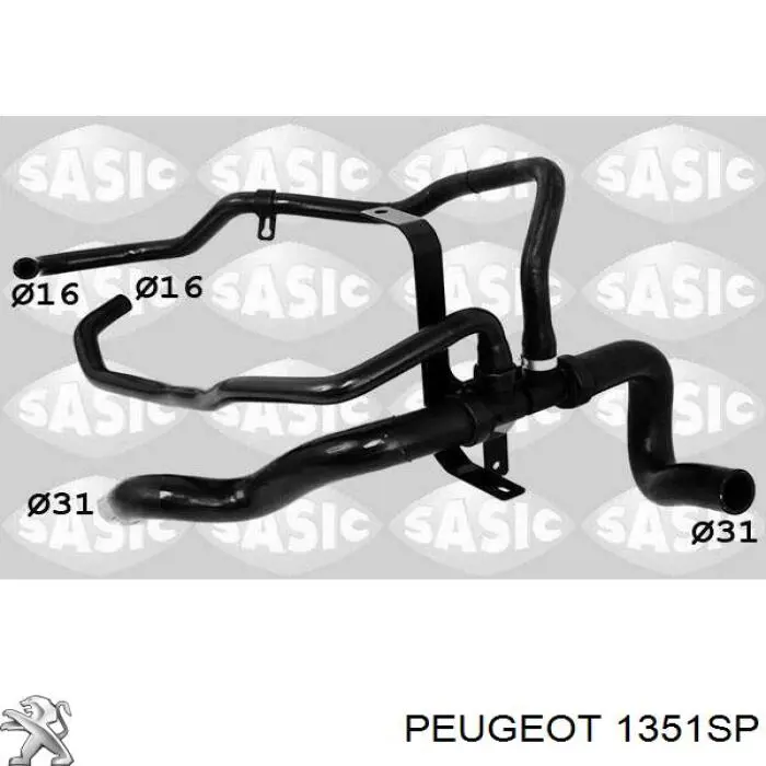 135250 Peugeot/Citroen mangueira (cano derivado inferior do radiador de esfriamento)