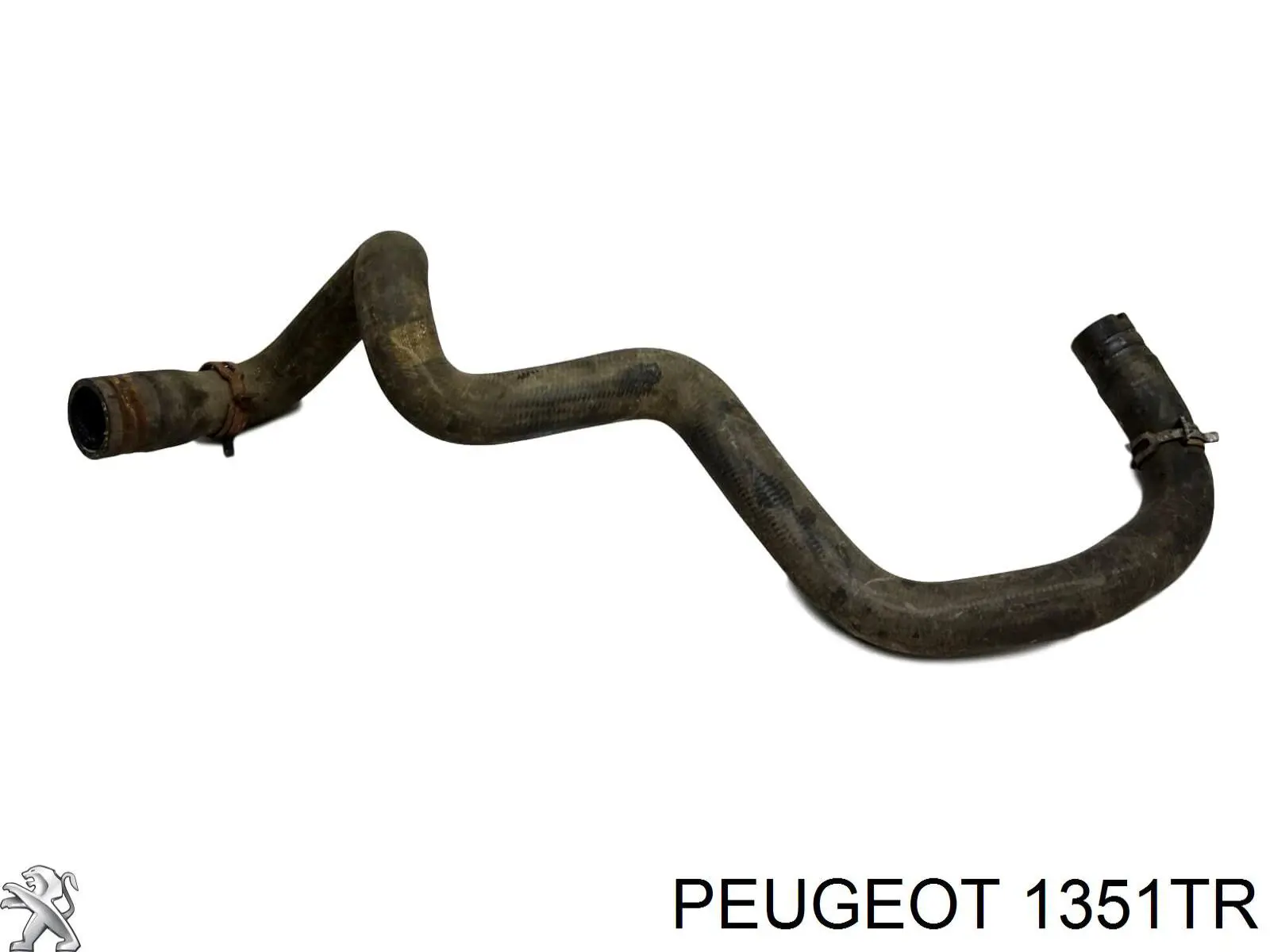 1351JR Peugeot/Citroen mangueira (cano derivado inferior do radiador de esfriamento)