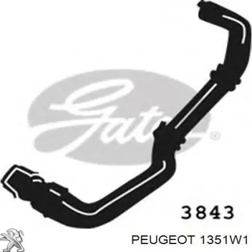 1351W1 Peugeot/Citroen шланг (патрубок радиатора охлаждения нижний)