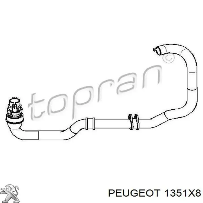  00001351X8 Peugeot/Citroen