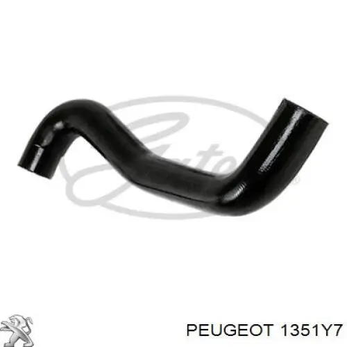 1351Y7 Peugeot/Citroen шланг (патрубок радиатора охлаждения нижний)
