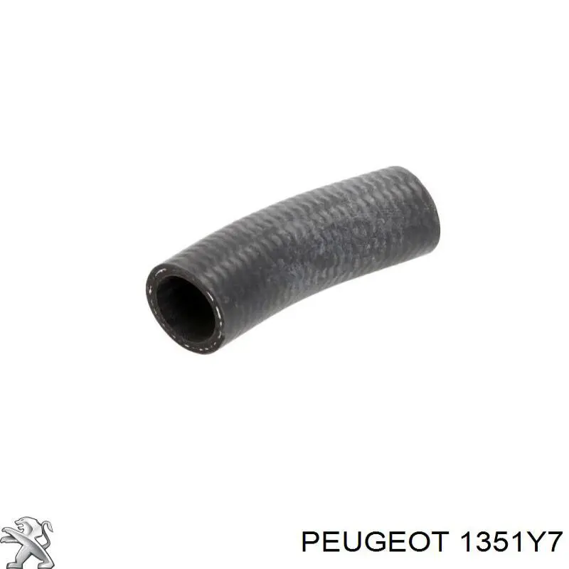 Шланг радиатора, нижний Thermotec DWP063TT цена, от 9.00 USD
