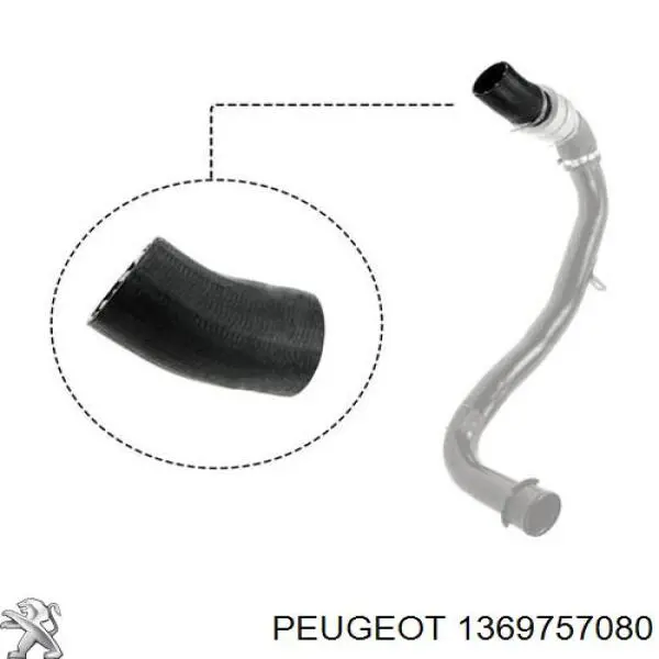 Купить 1369757080 Fiat/Alfa/Lancia Патрубок интеркулера