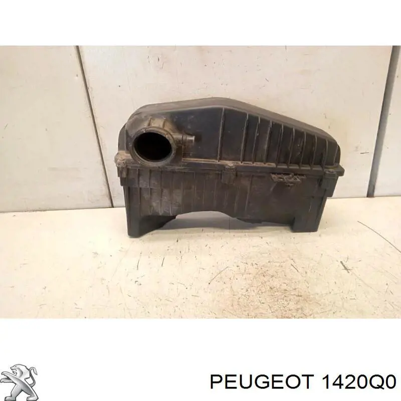 1420Q0 Peugeot/Citroen caixa de filtro de ar