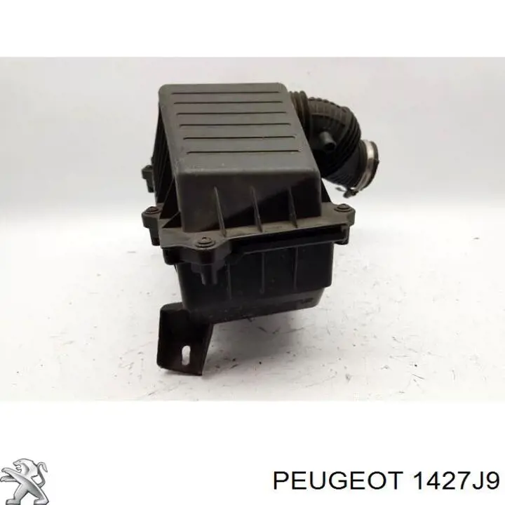 Фильтр воздушный Peugeot/Citroen 1427J9