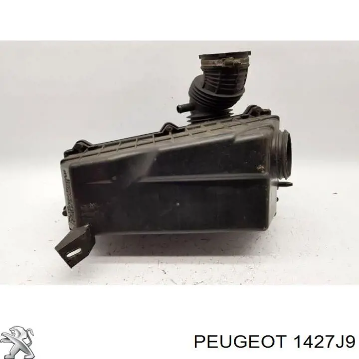 1427J9 Peugeot/Citroen Воздушный фильтр двигателя