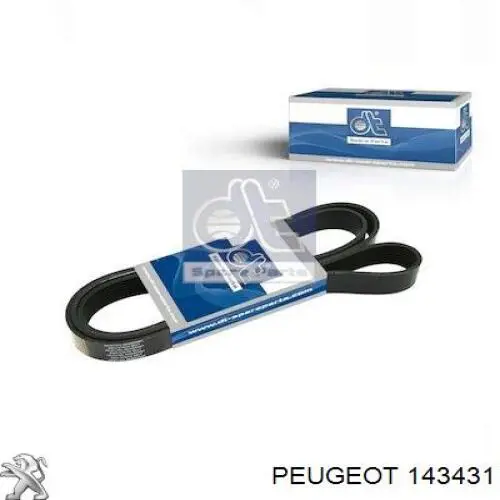 Compre Cano derivado de ar do medidor de consumo do ar Peugeot 407 