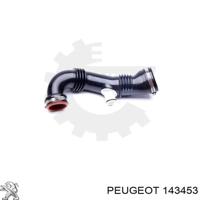 143453 Peugeot/Citroen cano derivado de ar, saída de filtro de ar