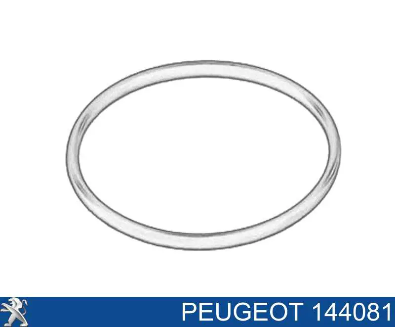 144081 Peugeot/Citroen кольцо патрубка турбины, нагнетаемого воздуха