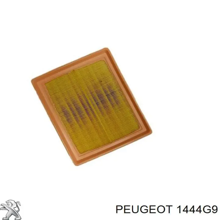 Воздушный фильтр 1444G9 Peugeot/Citroen