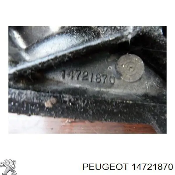  14721870 Peugeot/Citroen