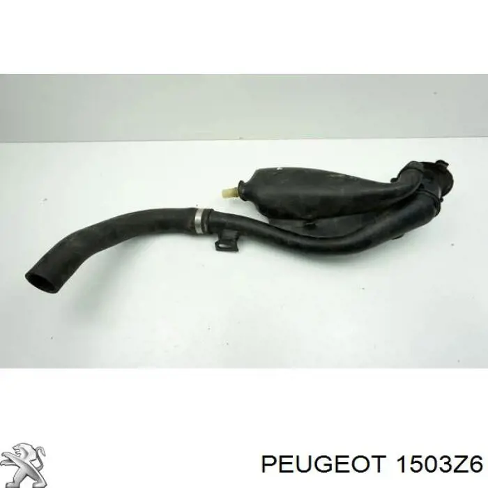 1503Z6 Peugeot/Citroen Заливная горловина топливного бака