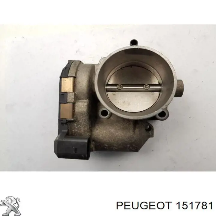 Alcapão do tanque de combustível para Peugeot 607 (9D, 9U)