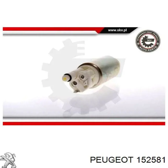 152581 Peugeot/Citroen бензонасос