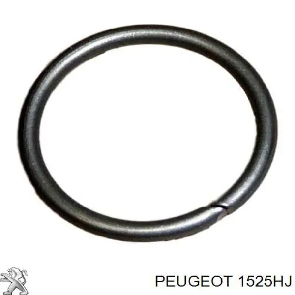 1525HJ Peugeot/Citroen бензонасос