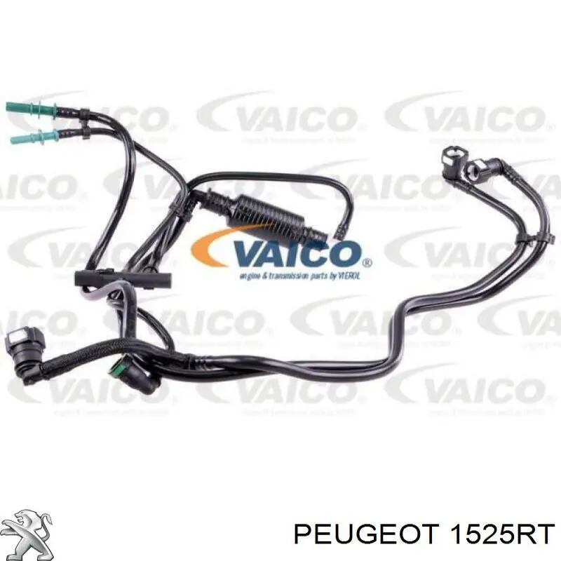 1525RT Peugeot/Citroen tubo de combustível, inverso desde os injetores