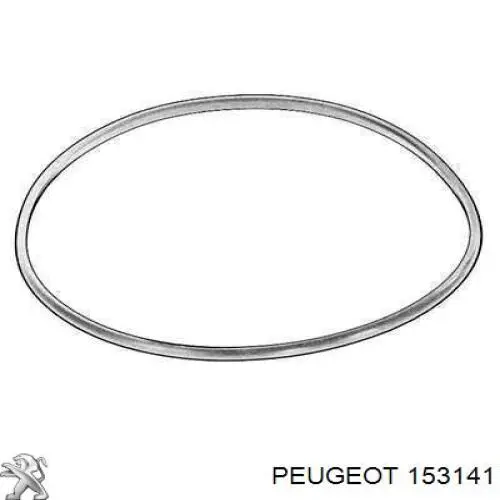 Купить 153129 Peugeot/Citroen Уплотнитель топливного насоса