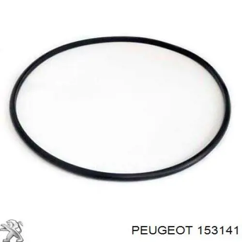 153141 Peugeot/Citroen уплотнитель топливного насоса