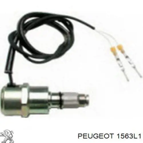 1563L1 PEUGEOT Corte, inyección combustible original y equivalente