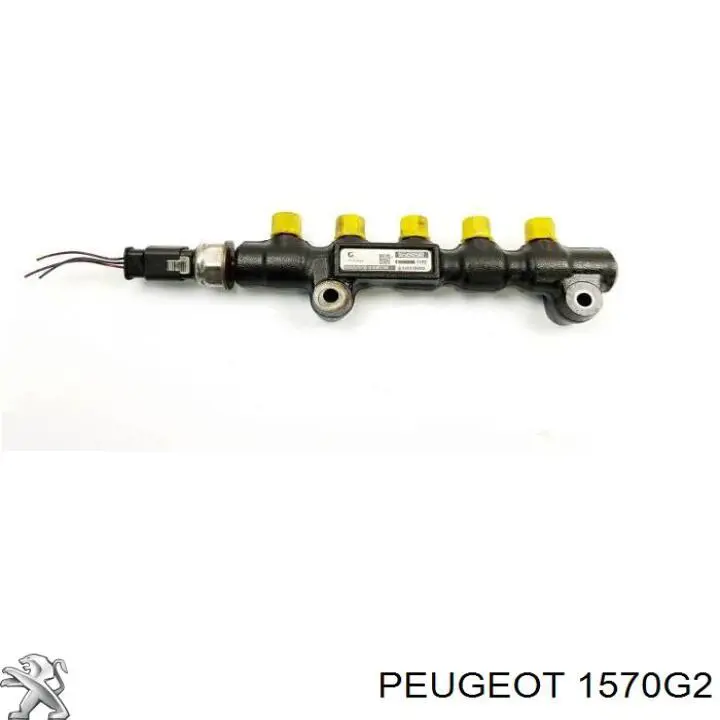 Купить 1570G2 Peugeot/Citroen Распределитель топлива