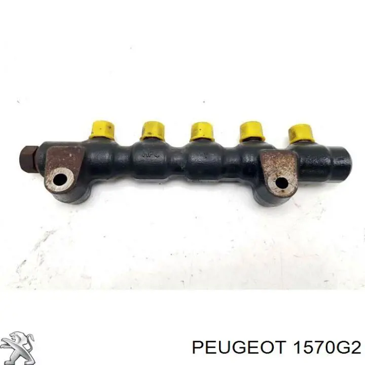 Распределитель топлива (рампа) 1570G2 Peugeot/Citroen