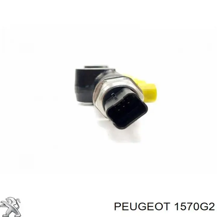 Рампа форсунок системы впрыска топлива Peugeot/Citroen 1570G2