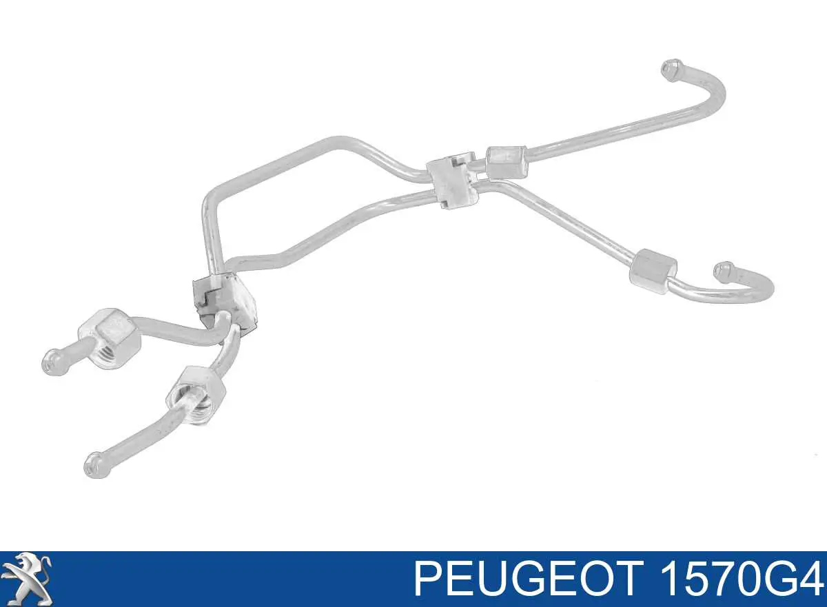 Трубка топливная, комплект Peugeot/Citroen 1570G4
