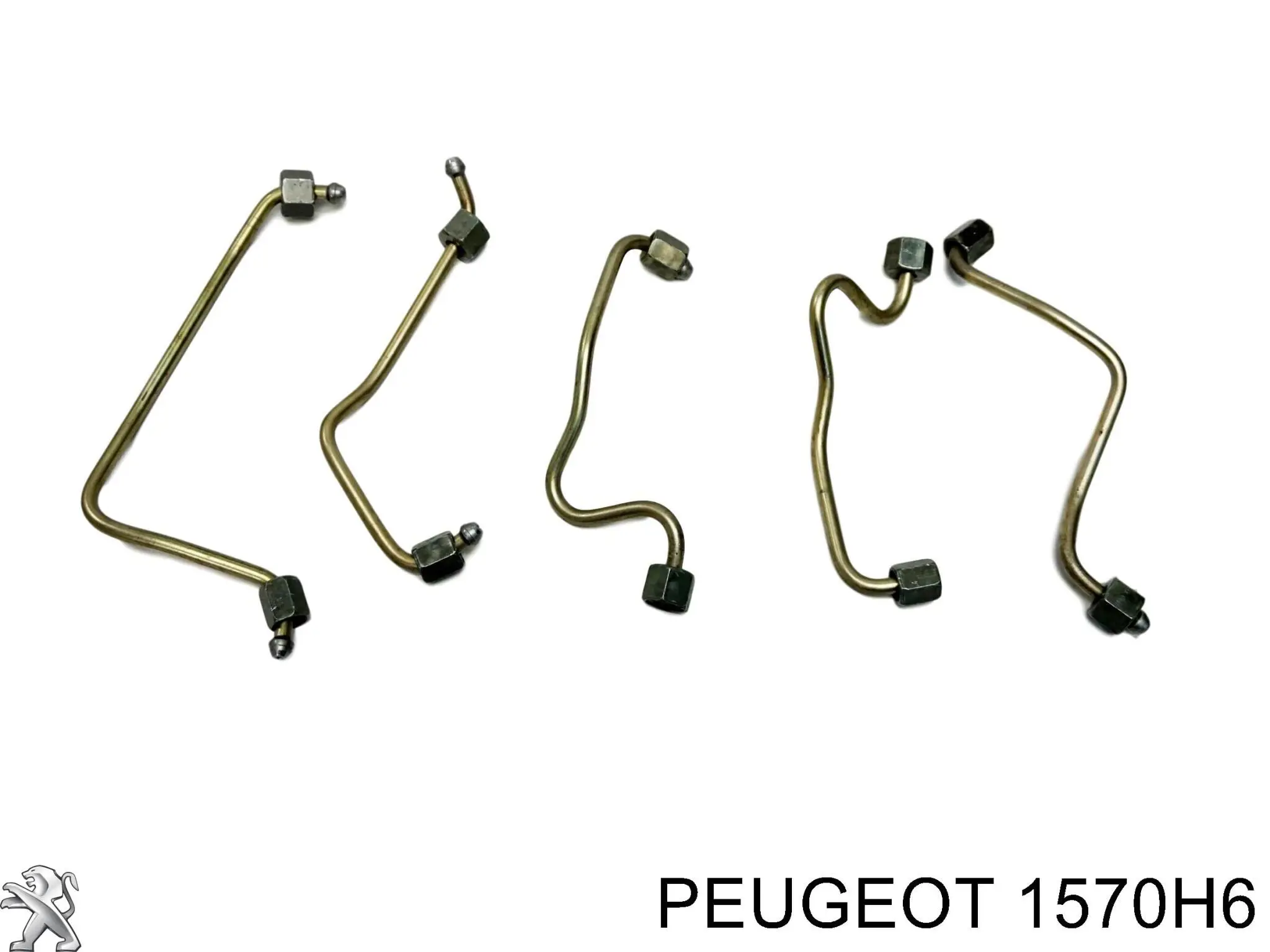 1570H6 Peugeot/Citroen