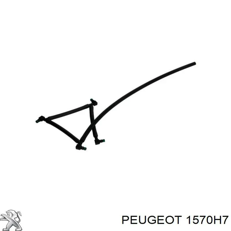 1570H7 Peugeot/Citroen