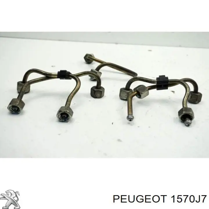  1570J7 Peugeot/Citroen