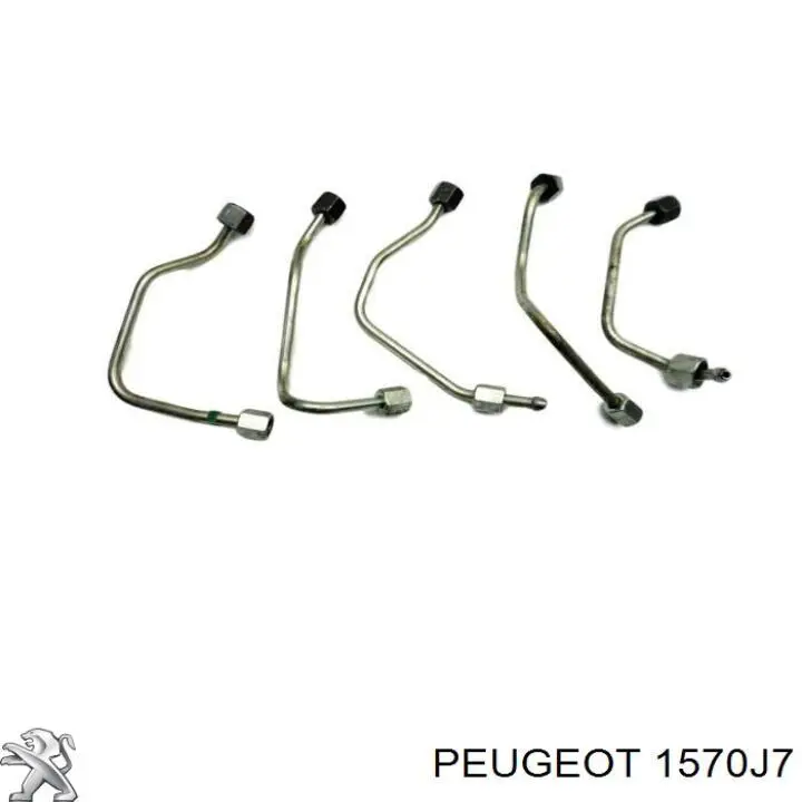 Распределитель топлива (рампа) 3M5Q9D280BC Ford