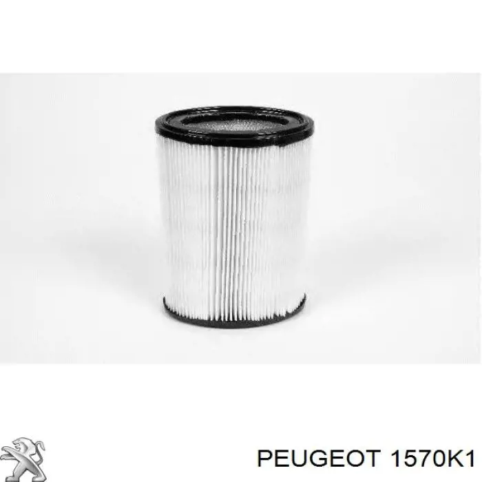 1570K1 Peugeot/Citroen sensor de pressão de combustível